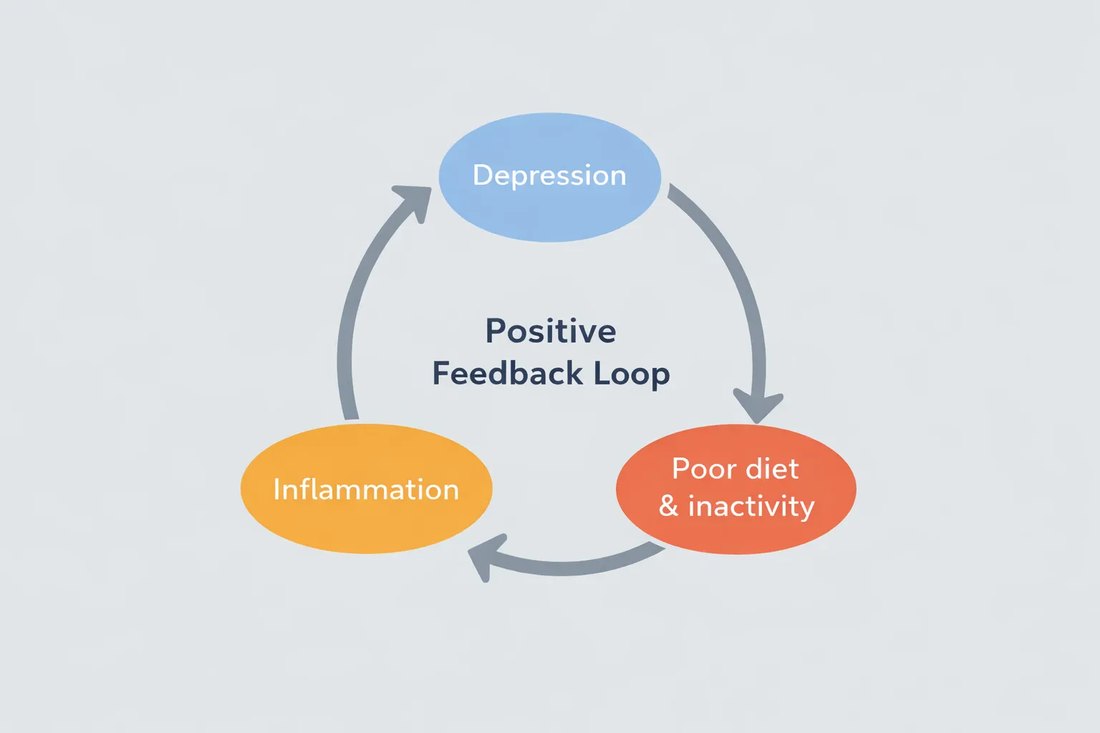 Diagram of a positive feedback loop between depression, low energy, poor diet, and inflammation