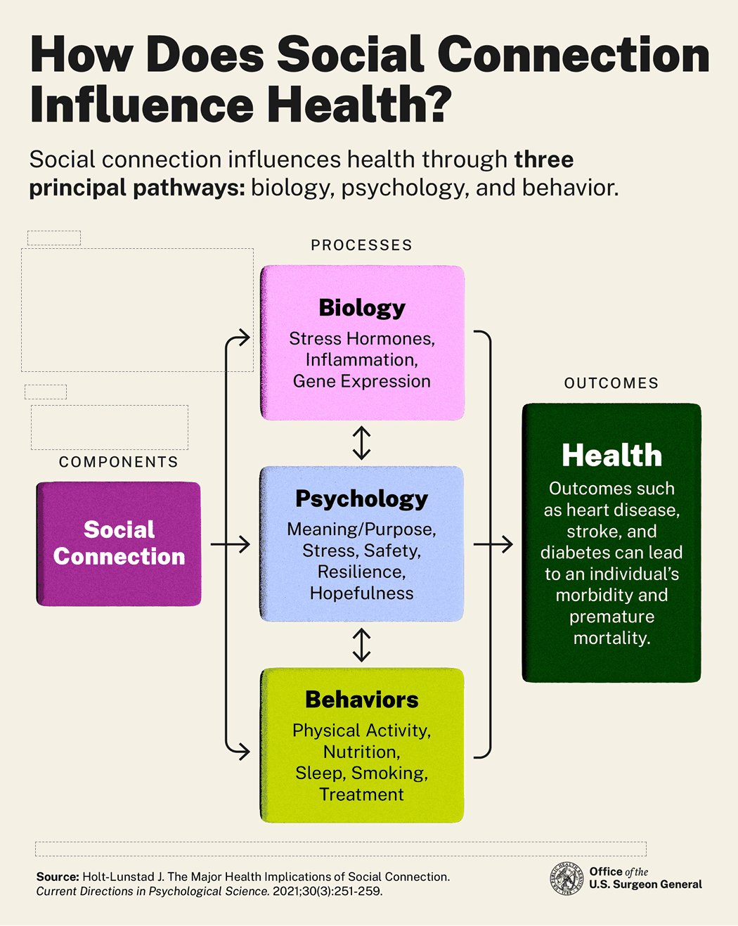 US Surgeon General infographic: how social connection influences health through biology, psychology, and behavior
